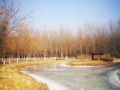 -东郊湿地公园