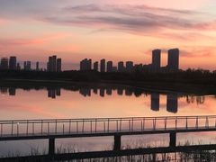-哈尔滨大剧院