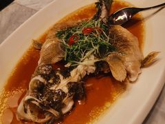 笋壳鱼-紫圆 · 雅宴高级餐厅(杭州东站店)