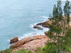 -广东惠东海龟国家级自然保护区