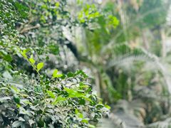 -郑州植物园