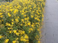 -圆融购物中心(南天成路店)