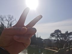 -香山公园