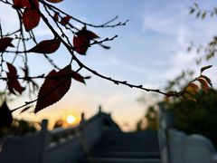 -八大山人梅湖景区