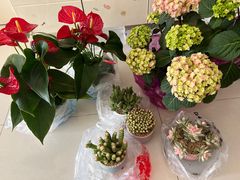 -金科花卉市场