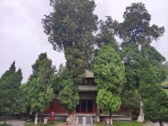 -报恩寺(平武县)