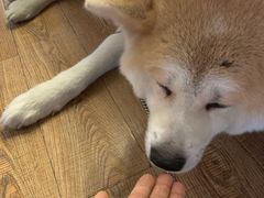 -YCHL Studios健身工作室(市二宫店)