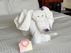 -三亚亚龙湾雅高铂尔曼别墅度假酒店