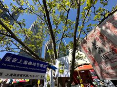 -陆家嘴中心绿地