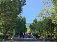-千佛山风景名胜区