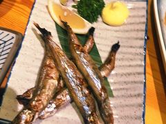 -晶吉·居酒屋·烧鸟·生鱼饭(中山区民主广场店)