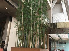 -上海柏悦酒店·世纪100牛排馆