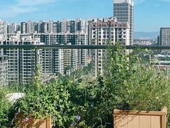 -Seesaw Coffee(朝阳大悦城店)