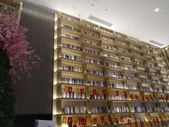 -深影国际影城(学院南路店CGS中国巨幕店)