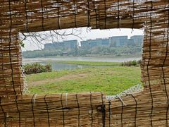 -华侨城湿地公园