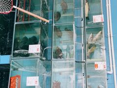 -祈胜邨•顺德鱼生•顺德菜(容桂店)