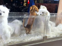 -龙湖杭州滨江天街