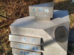 -东北大学(南湖校区)