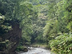 -西岭雪山大飞水景区