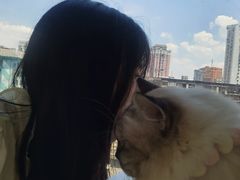 -怪兽屋·羊驼·猫咖·狗咖(俊华广场店)