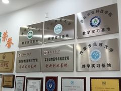-派美特宠物医院·核磁CT·骨科肿瘤·疑难转诊(沈农禾丰店)