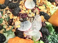 -THE WOODS 简餐 (国贸商城店)