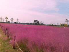 -汉长安城未央宫国家考古遗址公园