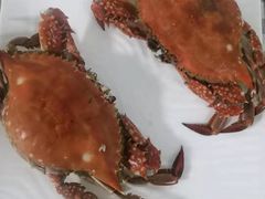-烁佳海鲜大馅饺子