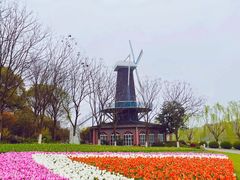 -上海鲜花港