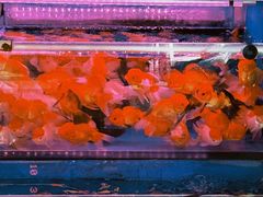 -西宁市人民公园(城西区)