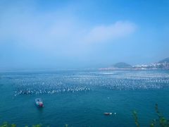 -枸杞岛