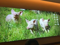 -乡里八闽·福州乡土菜(高宅店)