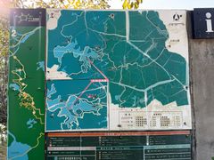 -东莞市大岭山森林公园