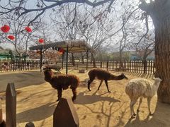 -西安秦岭野生动物园