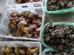 -双喜农庄·菌香园(安居家园店)
