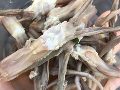 鸭舌-鸡脚旮旯平江路店