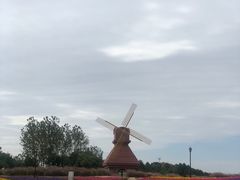 -杭州湾海上花田景区