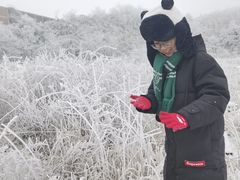 -江南天池