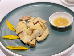 白切葵花鸡-陶陶居·雅园(凯华国际店)