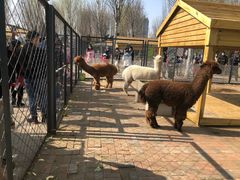 -长白岛森林公园