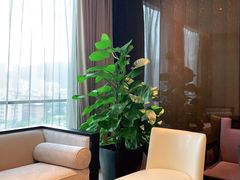 卡座-龙岩佰翔京华酒店(京华购物中心店)