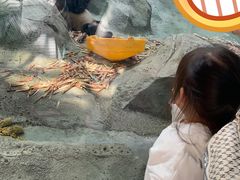 -泉城欧乐堡海洋极地世界