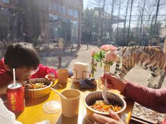 -上海野生动物园老虎餐厅