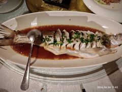 -金美华轩(东方路齐鲁店)