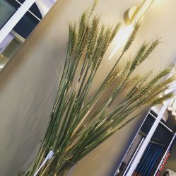 -17.壹柒·美学高定空间