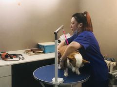 -天时宠物医院24小时疑难病例会诊中心(顾乡大街总院)