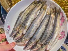 -石锅苗苗鱼(武汉首店)