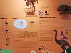 -正佳自然科学博物馆