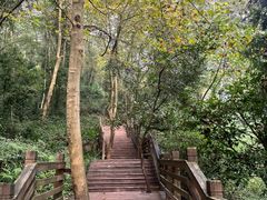 -青城山
