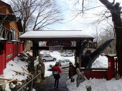 -宫城藏王狐狸村